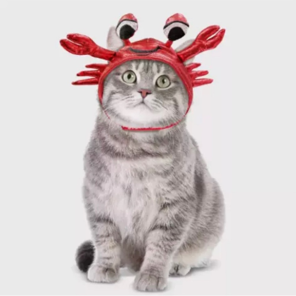 Hyde & Eek! Boutique Cat Halloween Toys and Crab Costume Set NEW wand & book - Picture 2 of 7